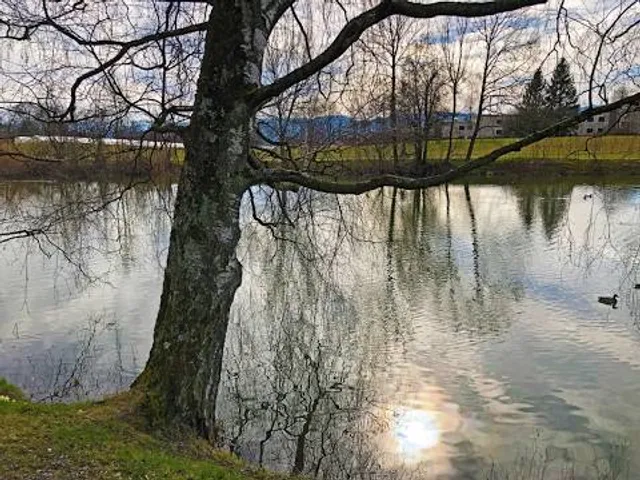 Schübelweiher