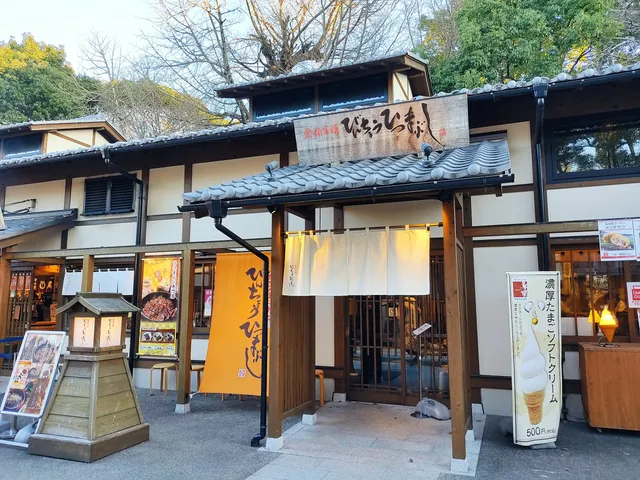Hitsumabushi Bincho Kinshachi Yokocho Branch