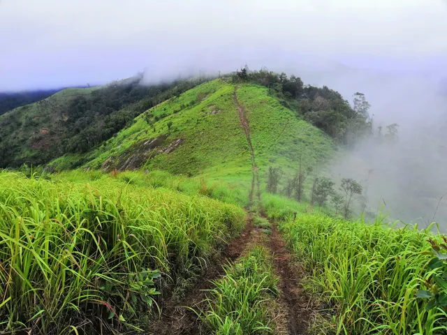 Mullanthandu Kurishumala