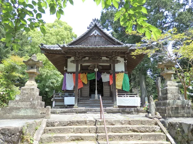 Hasedera