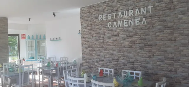 Restaurant Camenea