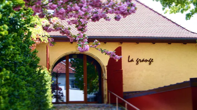 Fondation Burkhardt-Felder Arts et Culture