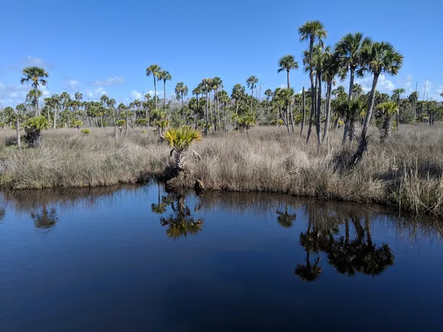 Dixie Mainline Trail