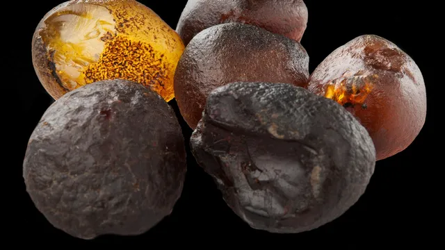 Museo del Ámbar, Lilia Mijangos