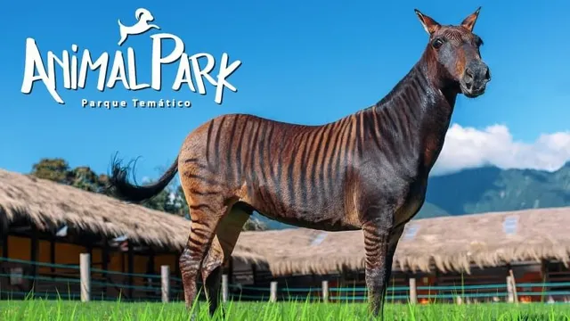 ANIMALPARK PARQUE TEMÁTICO