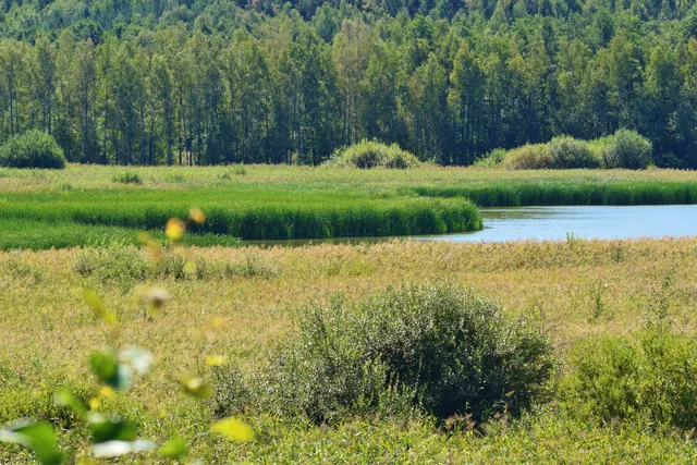 Halikonlahti Bird Path