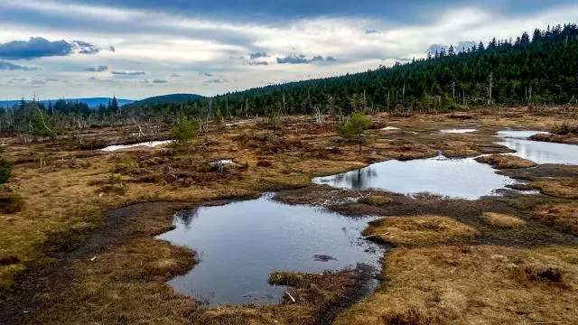 Aussicht am Scharchen