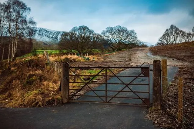 Alston Trailhead - Palmetto Trail