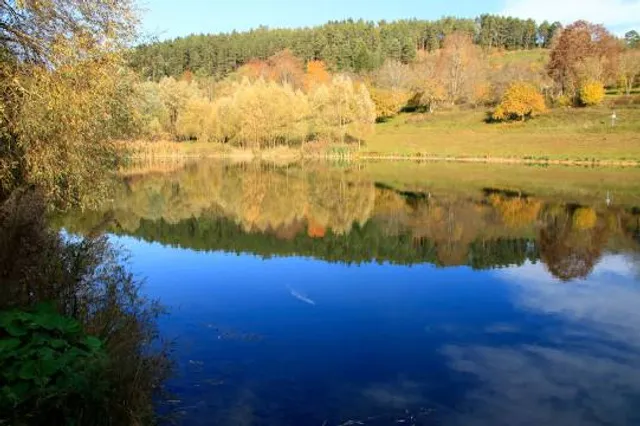 Gültlinger See