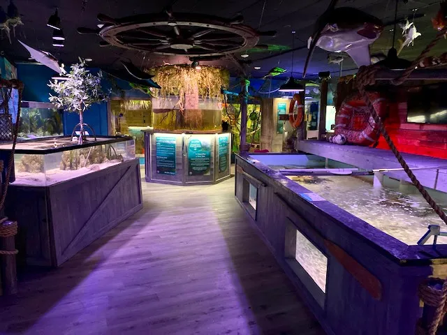 Mertailor’s Mermaid Aquarium Encounter