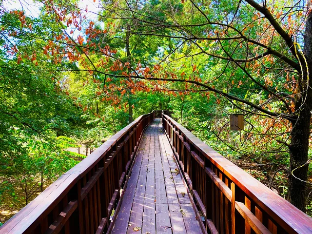 Gyomaendrődi járás