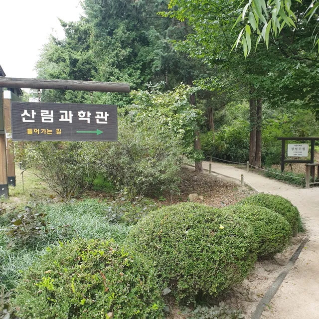 Hongneung Forest (Arboretum)