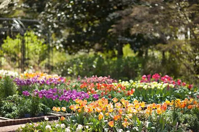 Dixon Gallery & Gardens