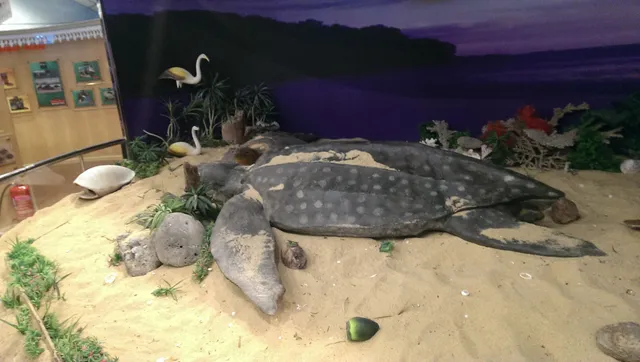 Rantau Abang Turtle Conservation and Information Centre