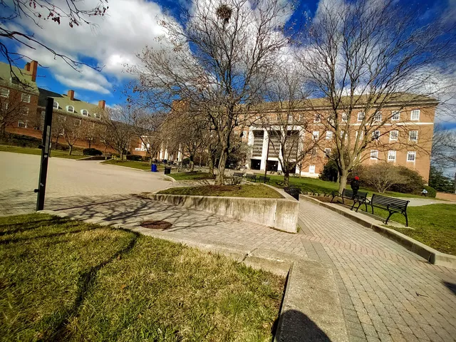 photo-1