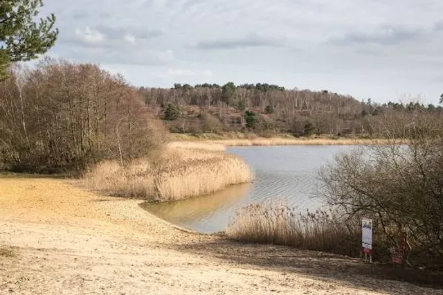 Frensham Common