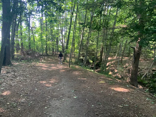 Deer Jump Reservation - A.V.I.S