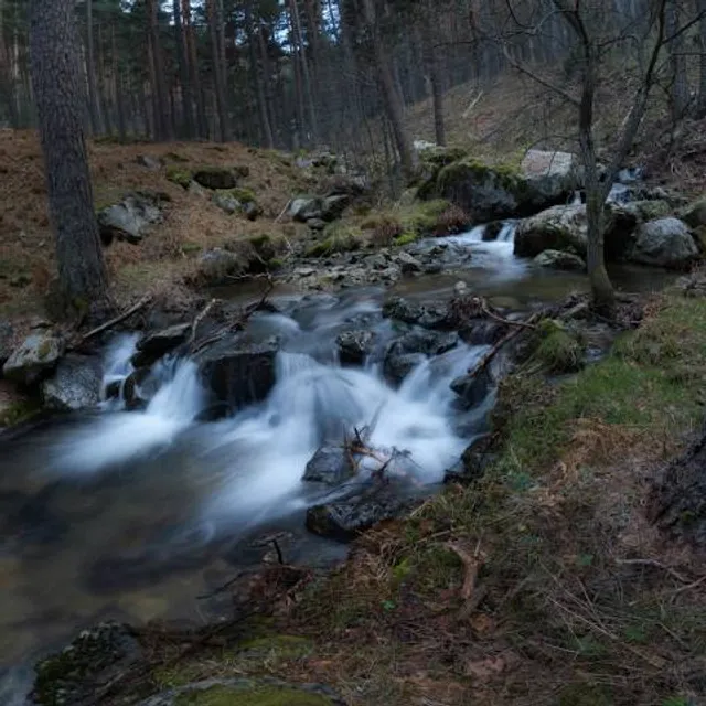 Los Chorros Navafria