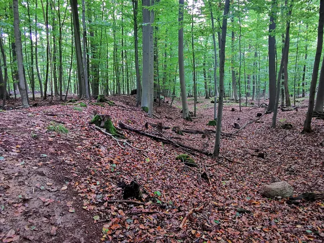 Römerlager Hedemünden