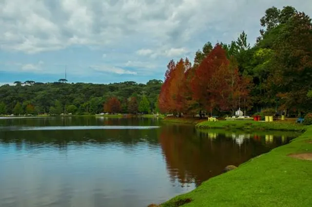 São Francisco de Paula