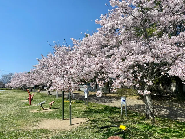 Hiraoyama Culture Park