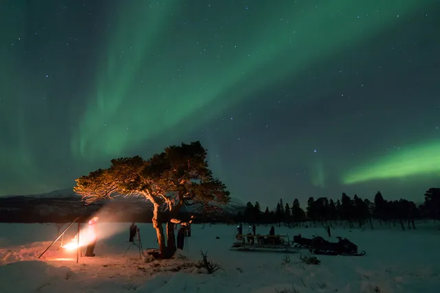 Activities in Abisko