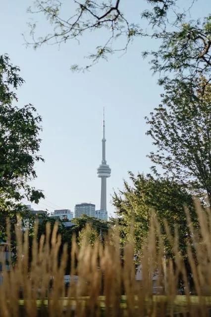 Bellevue Square Park
