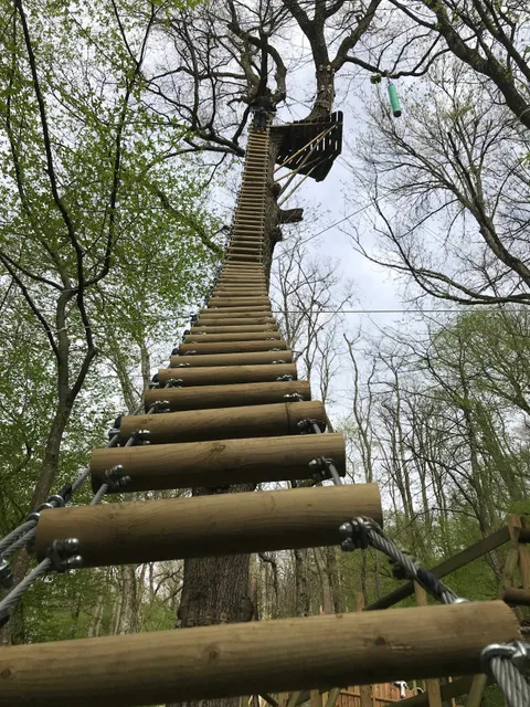 Yapluka Park, votre parc accrobranche à 30 minutes de Lyon