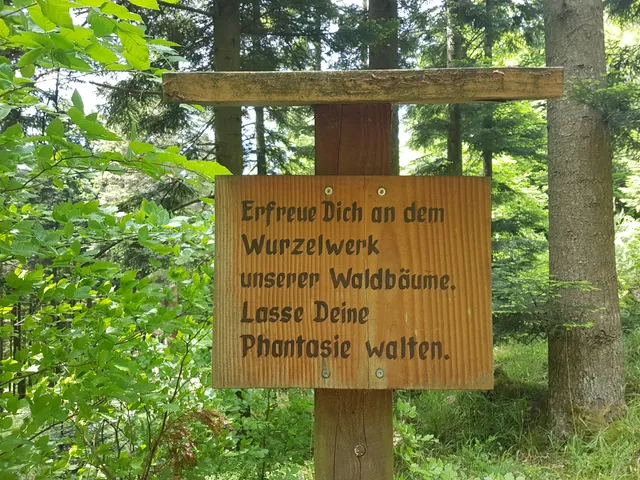 Walderlebnispfad Bernbach