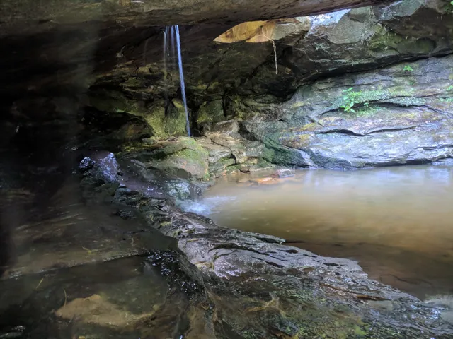 Labarque Creek Conservation Area