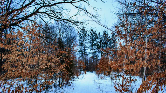 River Bluffs Regional Park