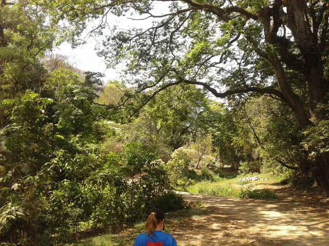 Ecological and Sports Park Cayalá