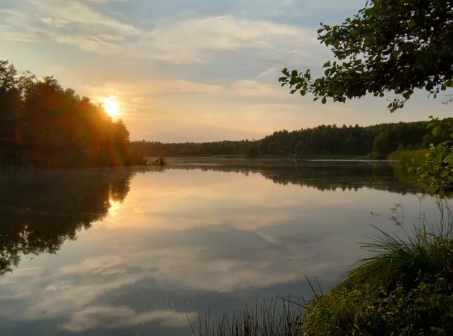 Rezerwat przyrody Borowiec
