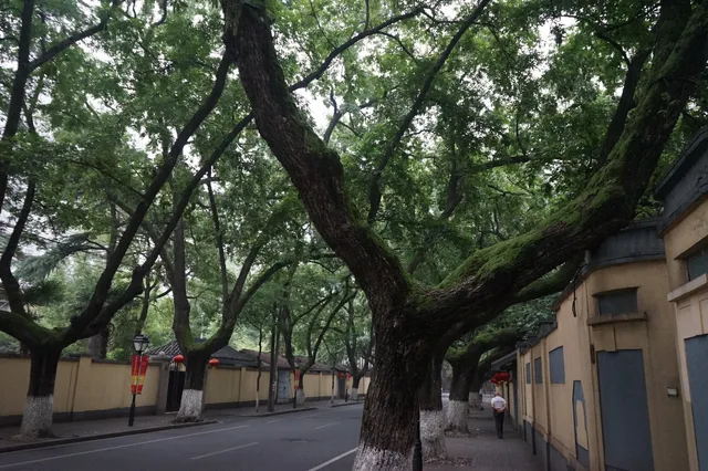 Yihe Road Residence Area