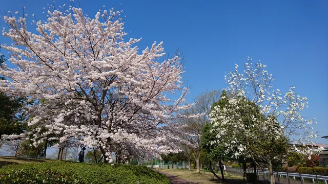 Nakada Central Park