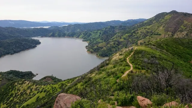 UC Davis - Stebbins Cold Canyon Natural Reserve