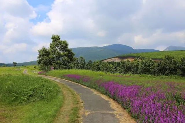 Higotai Park Visitor Ctr