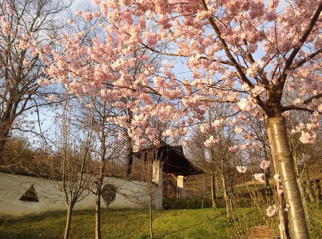 Sanbo-ji Tempio dei Tre Gioielli
