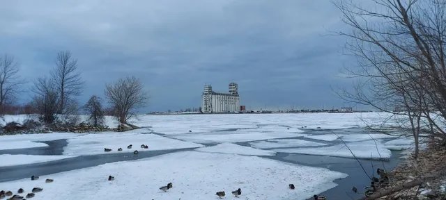 Optimist Harbourview Park