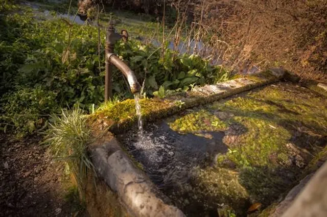 Springs of Bacchiglione