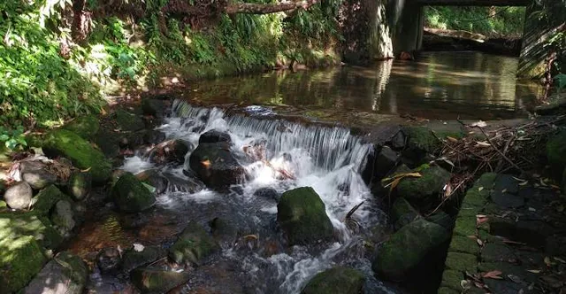 place image