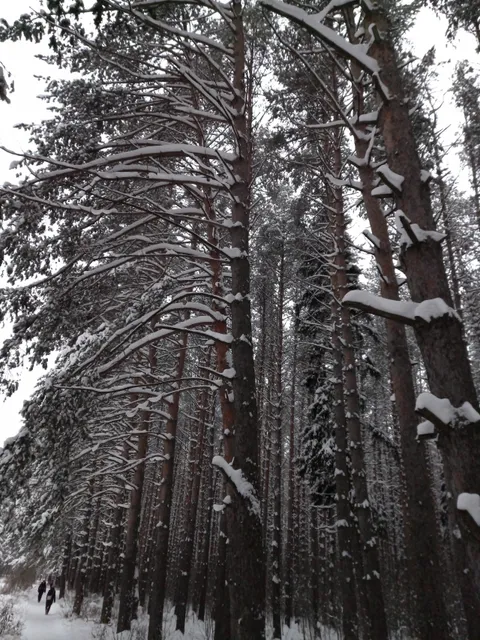 Park Oruzheynika Dragunova