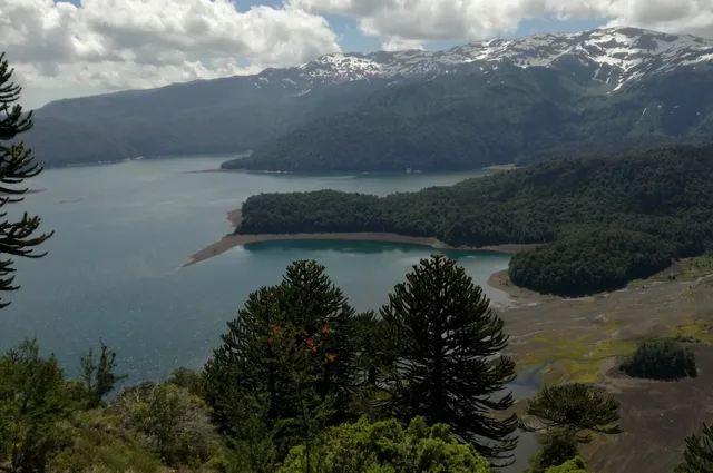 Conguillío Lake