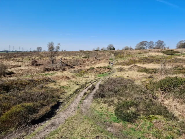 Gentleshaw Common
