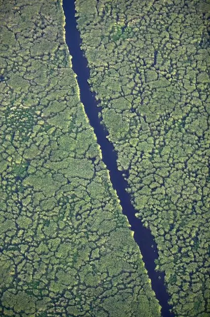 Takern nature reserve