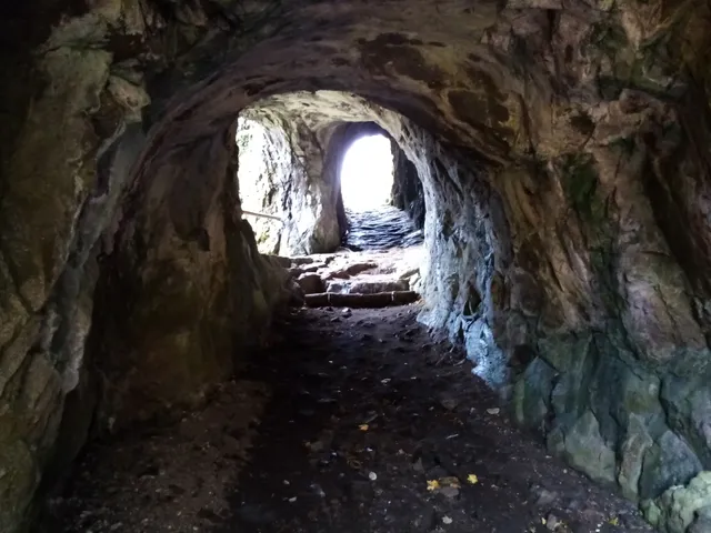 Château de Wildenstein