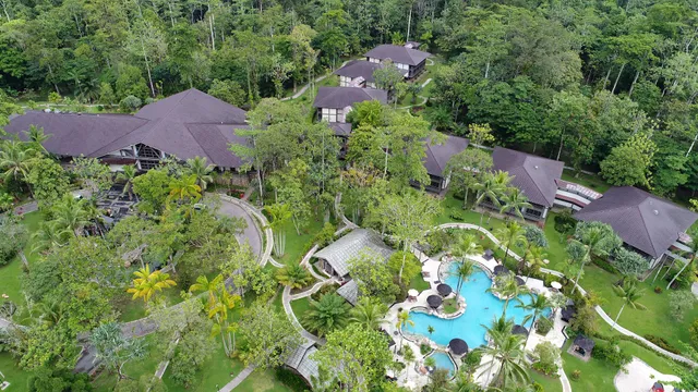 Rimba Papua Hotel