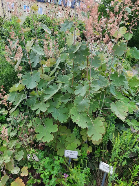 photo-3