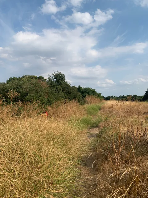 Hounslow Heath