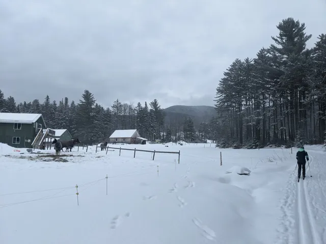 Blueberry Lake Cross Country